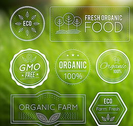 食品安全宣傳欄圖片矢量圖免費下載 psd格式 編號15757002 千圖網