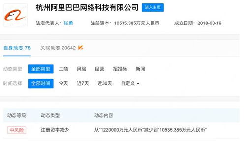 杭州阿里巴巴減資百億 科技巨頭的戰(zhàn)略調(diào)整與未來布局
